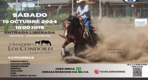 Copa Criadero Los Cóndores – ACCM 2024