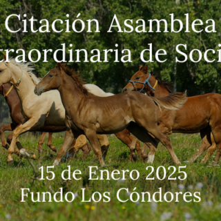 Citación a asamblea extraordinaria de socios